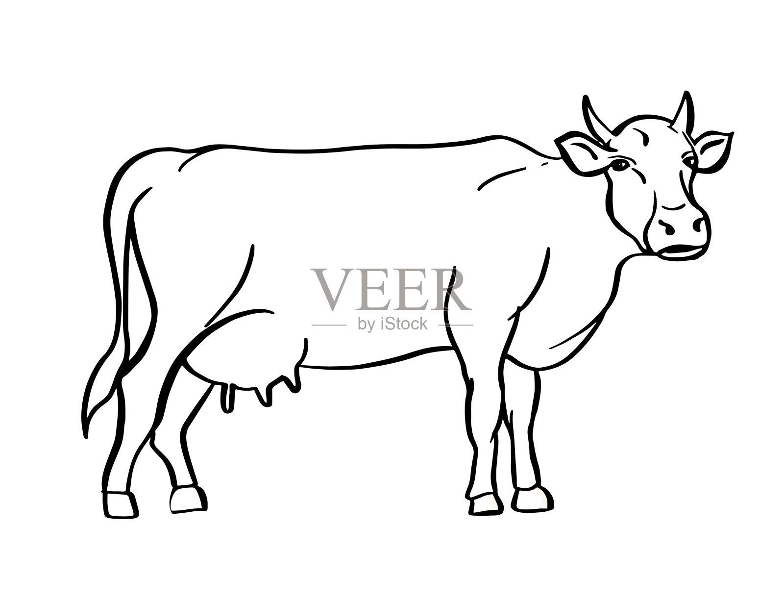 手绘的牛素描。牲畜。牛。动物吃草。矢量插图。设计元素图片