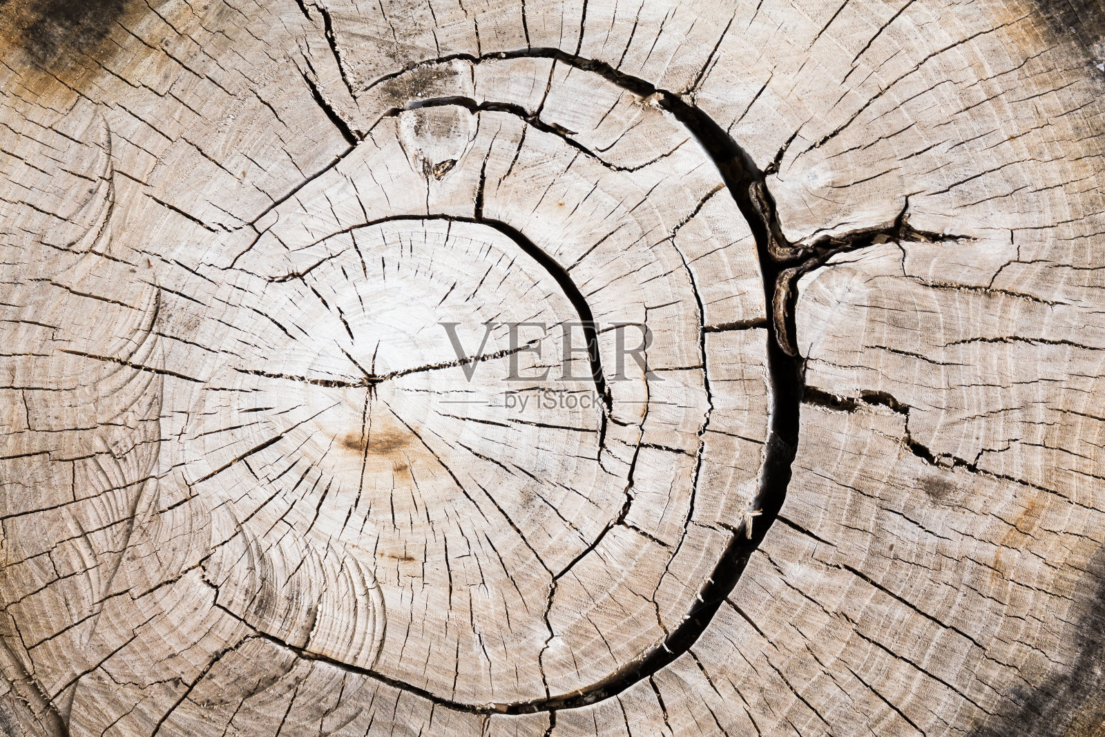 锯过的木头有纹理的表面。对比模式照片摄影图片