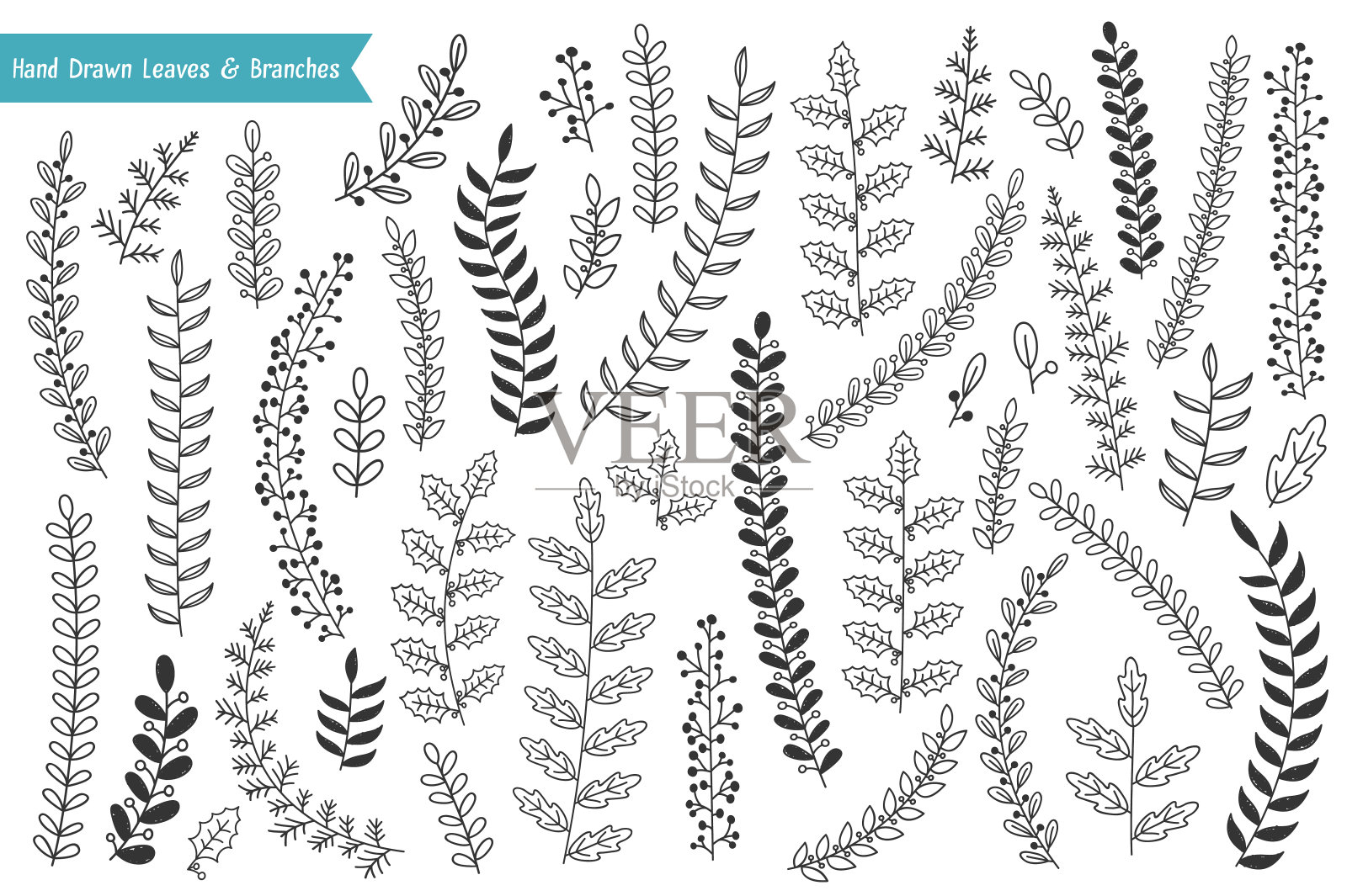 手绘树叶和树枝设计元素图片