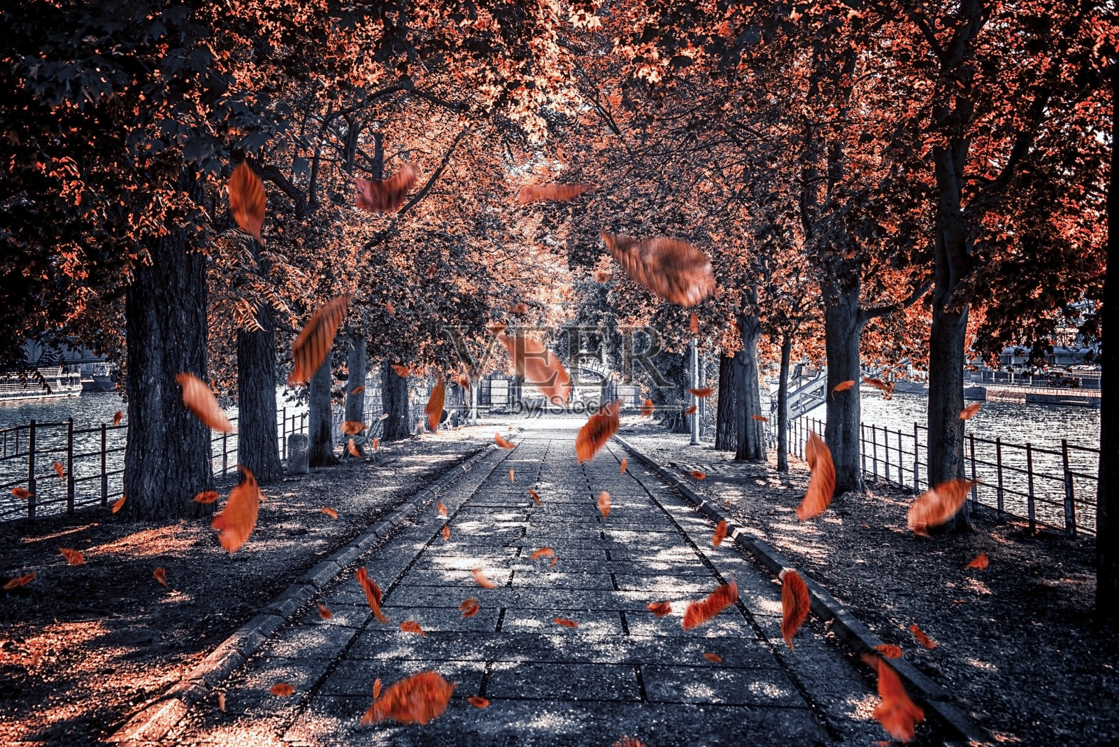 树叶飘落在巴黎的公园里照片摄影图片