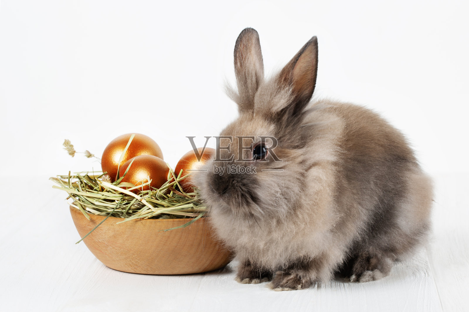 可爱的毛绒绒的兔子和木制盘子与干草和金色复活节彩蛋在白色的背景照片摄影图片