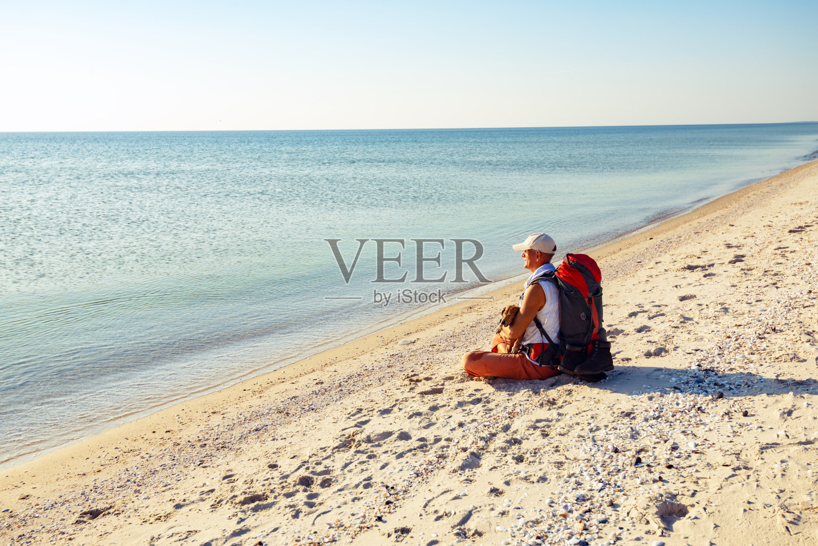 抱着搞笑狗的旅行者在海滩上放松照片摄影图片