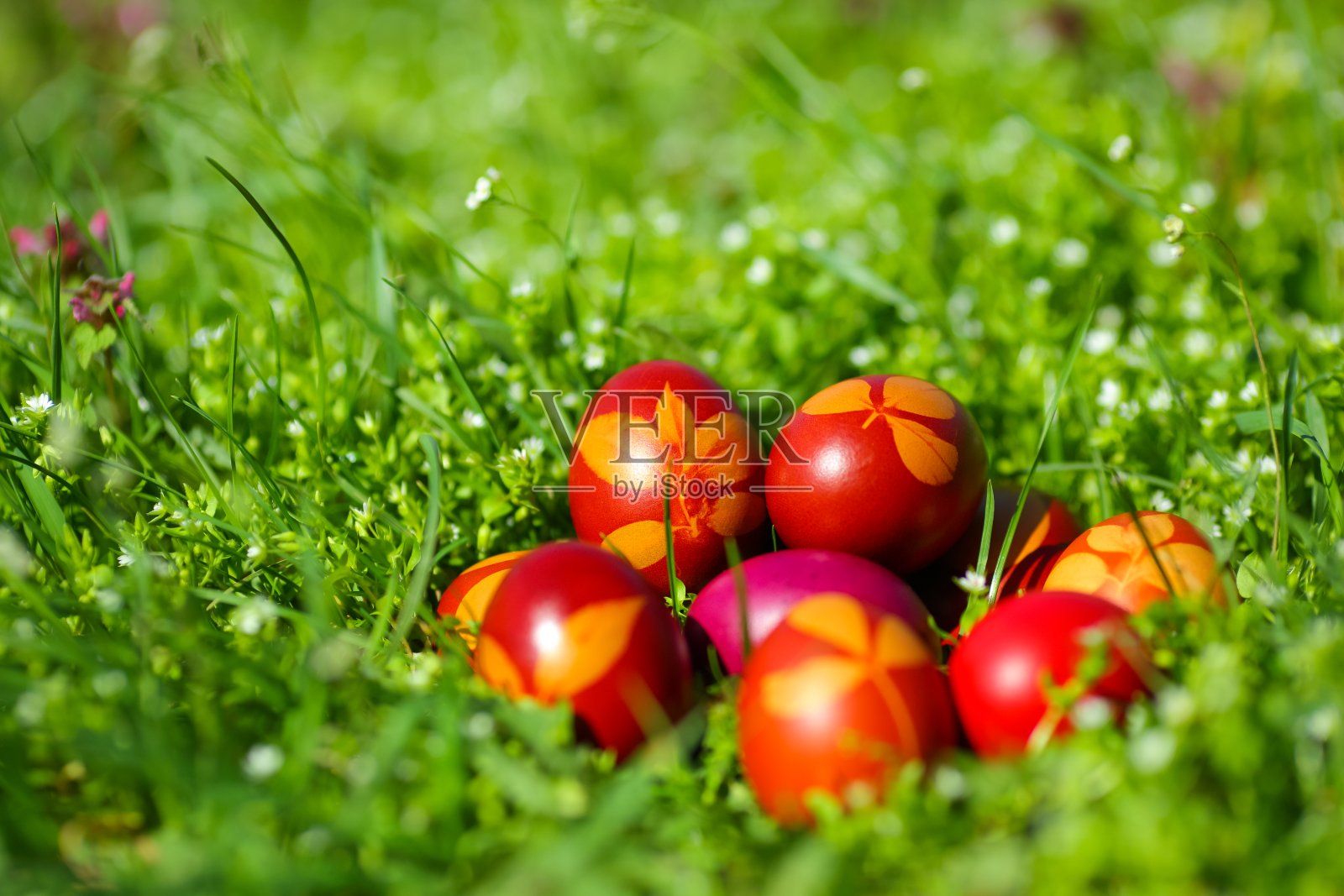 复活节彩蛋在绿色的草地上照片摄影图片