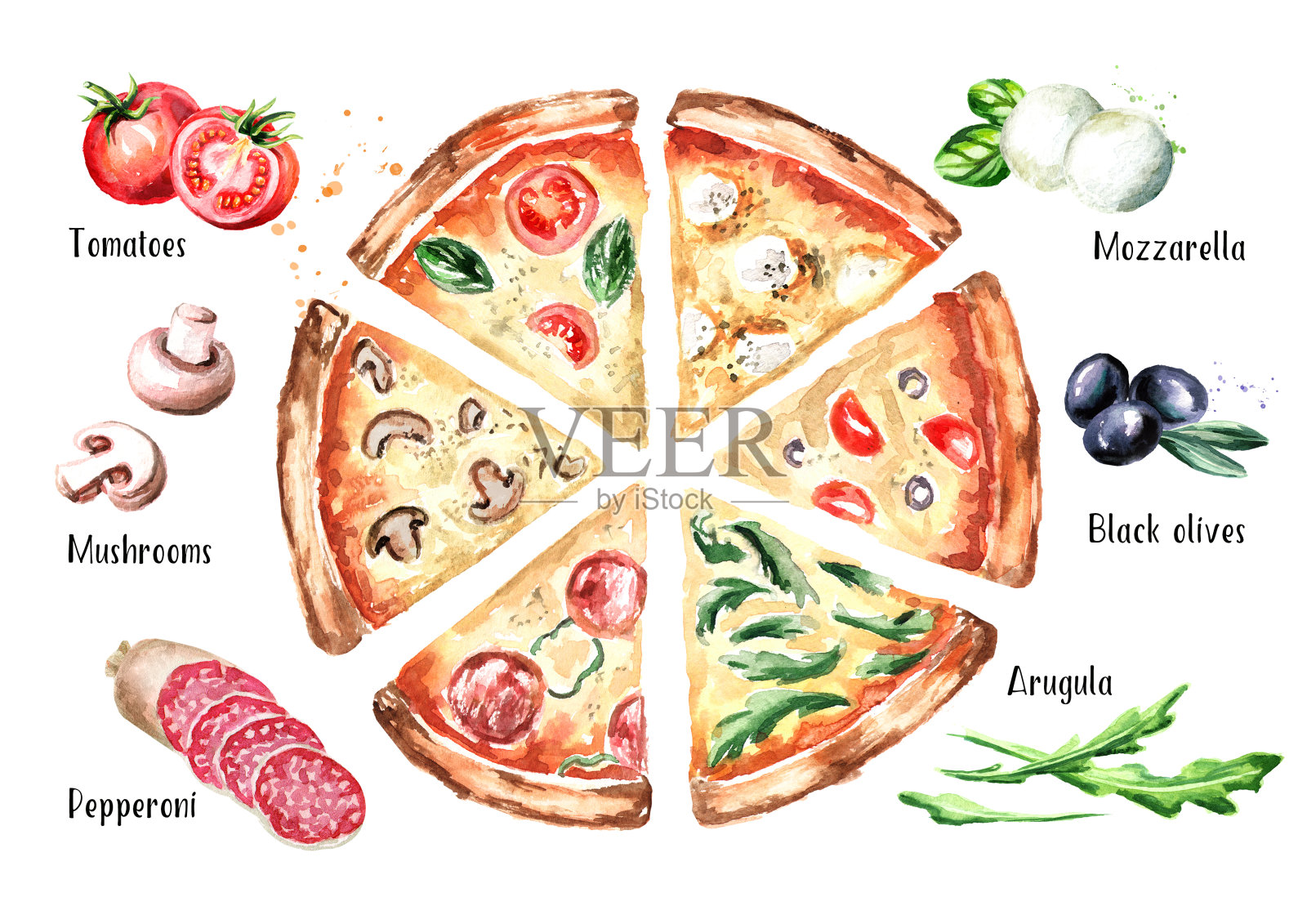 不同配料的披萨切片，俯视图。水彩手绘插图，孤立的白色背景设计元素图片