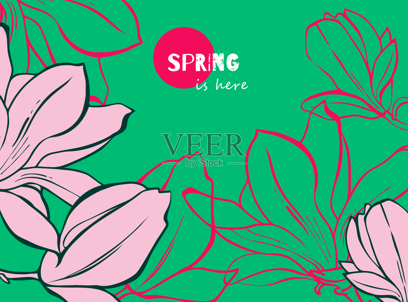 木兰花。手绘花卉春天的背景。在绿色背景上画线。插画图片素材