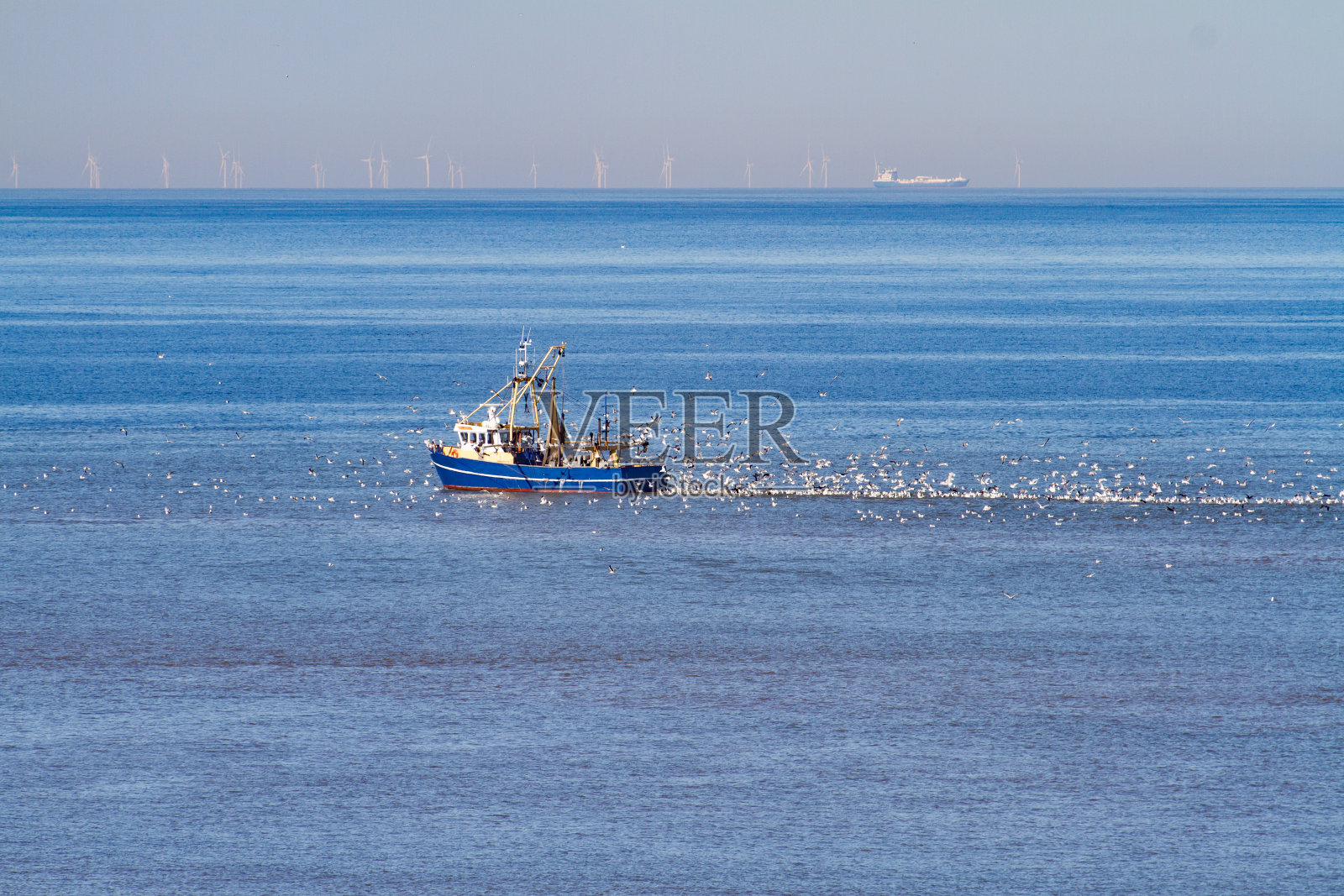 北海上的一艘蓝色快艇和一群海鸥照片摄影图片