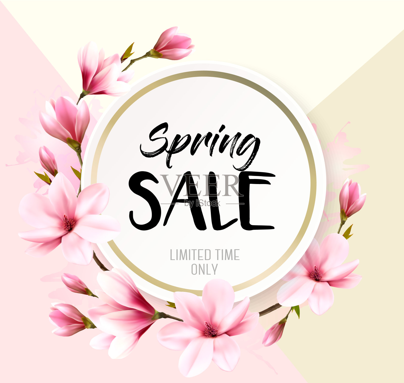 春季销售背景用粉红色盛开的木兰。向量插画图片素材