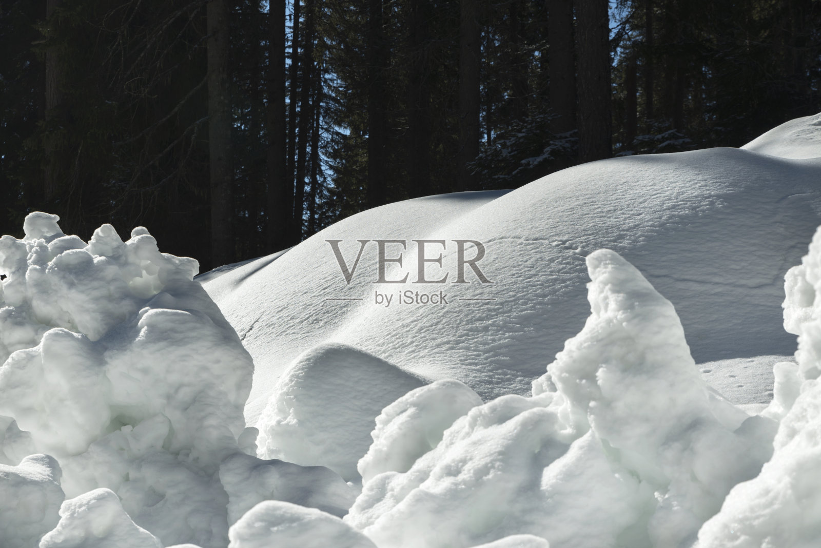 积雪在罗多皮山区的森林冬季选择性的焦点照片摄影图片