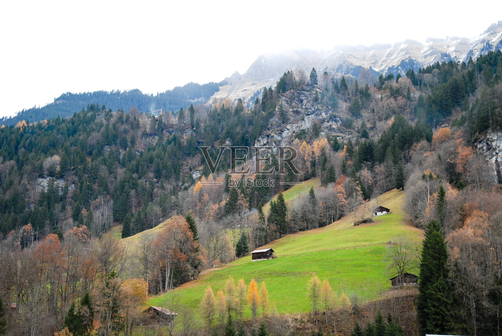 秋天，瑞士伯尔尼州伯纳奥伯兰的Lauterbrunnen牧场照片摄影图片