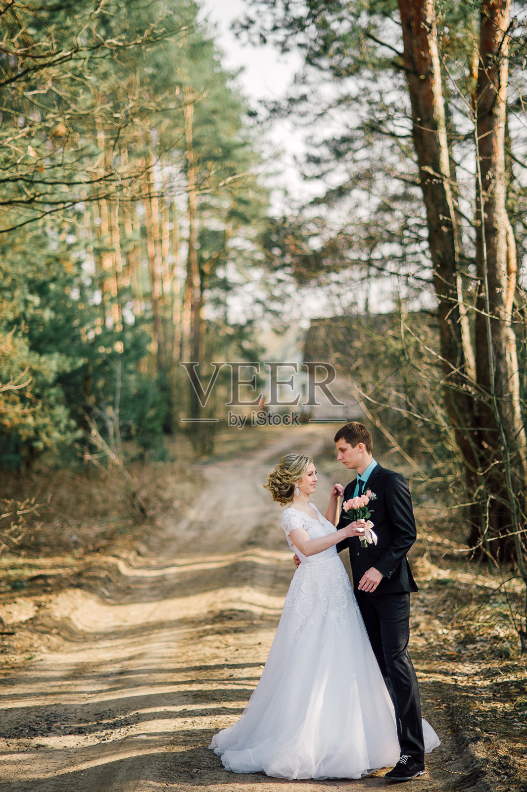新娘和新郎在公园接吻。一对新婚夫妇新娘和新郎在一个婚礼在自然绿色的森林正在亲吻照片肖像。婚礼的夫妇照片摄影图片