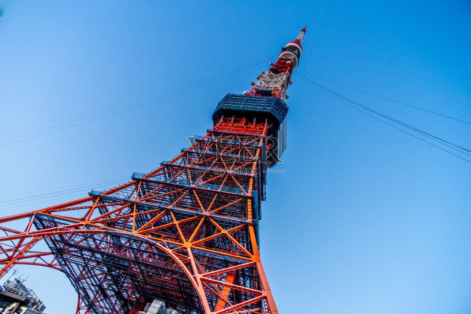 东京塔的中午在日本东京照片摄影图片