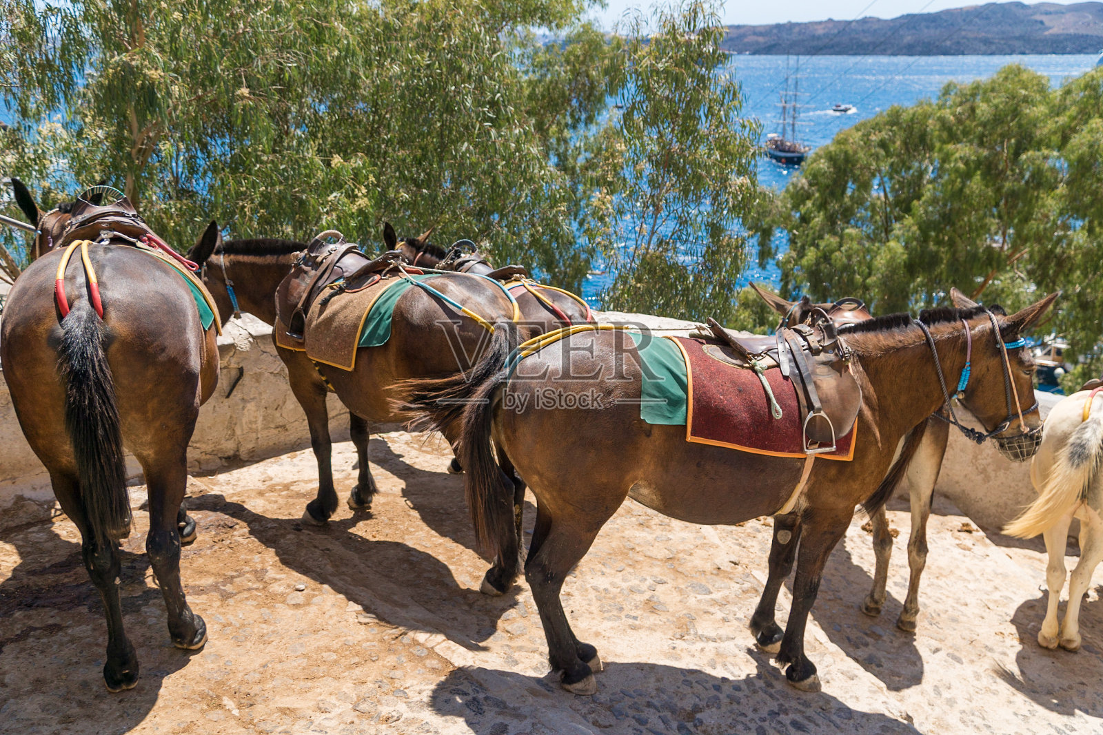 旅行,驴,圣托里尼岛照片摄影图片