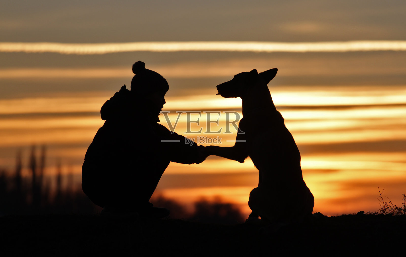 男孩和狗在日落的背景照片摄影图片