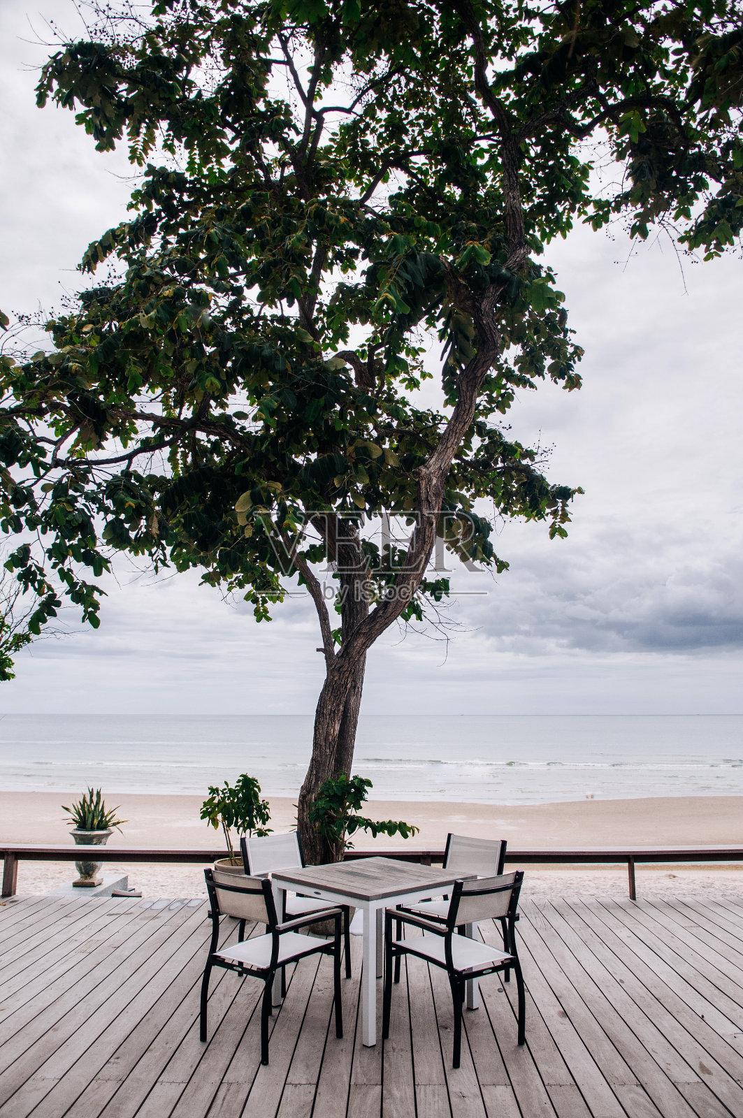 热带度假。海景木阳台，大树下桌椅照片摄影图片