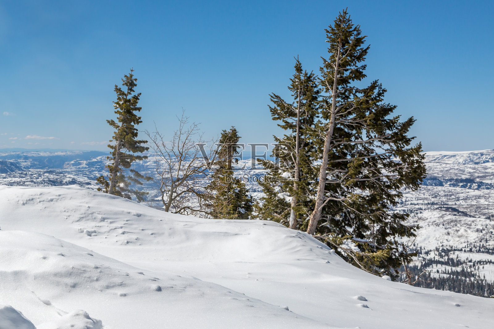 犹他州雪景照片摄影图片