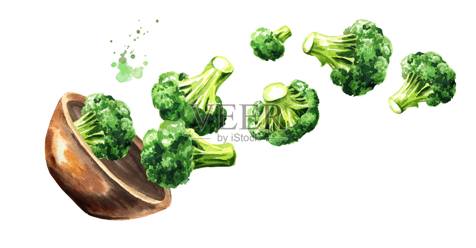 碗里放新鲜花椰菜。手绘水平水彩插图，孤立在白色的背景插画图片素材