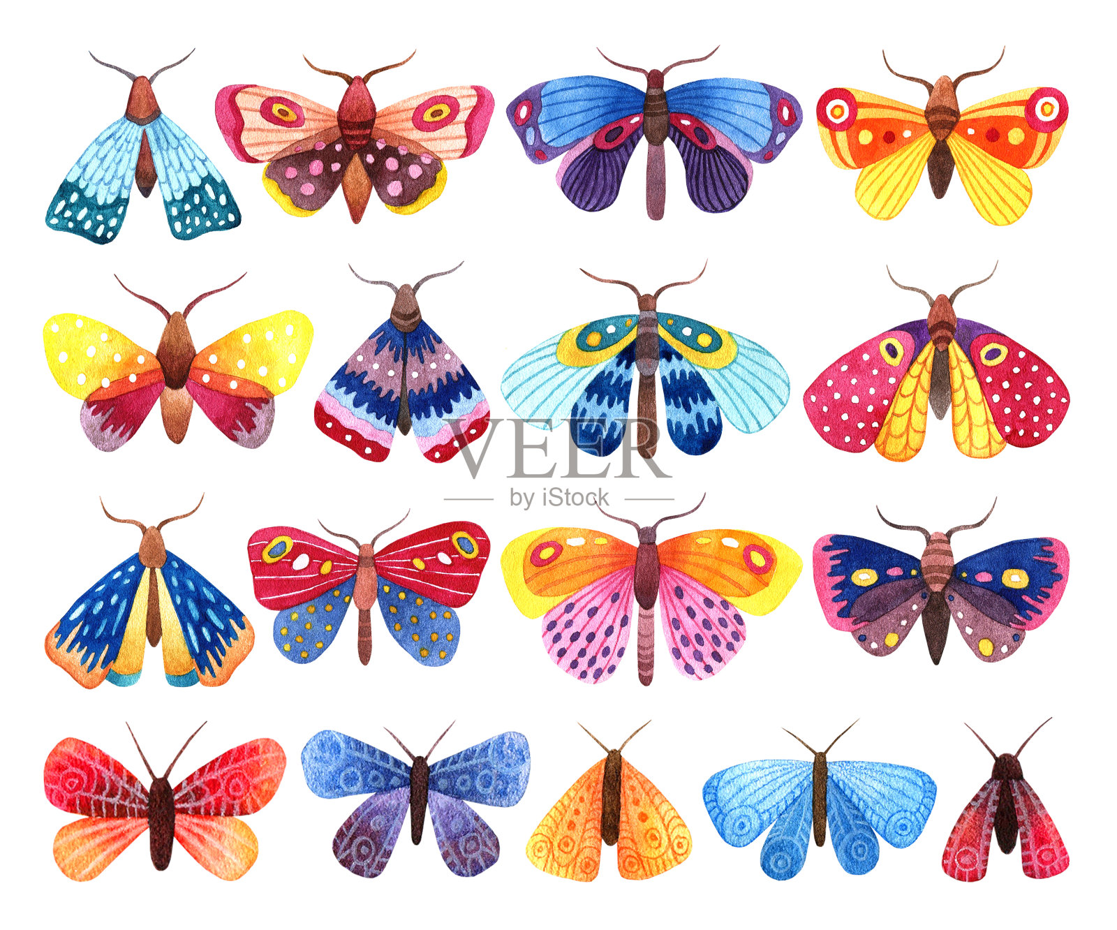 水彩手绘一套彩色蝴蝶和飞蛾在白色的背景插画图片素材