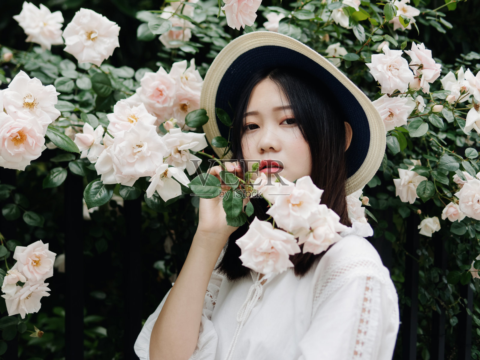 户外肖像美丽的中国女子在白色的玫瑰花墙在春天的花园，快乐的女孩享受她的闲暇时间。照片摄影图片
