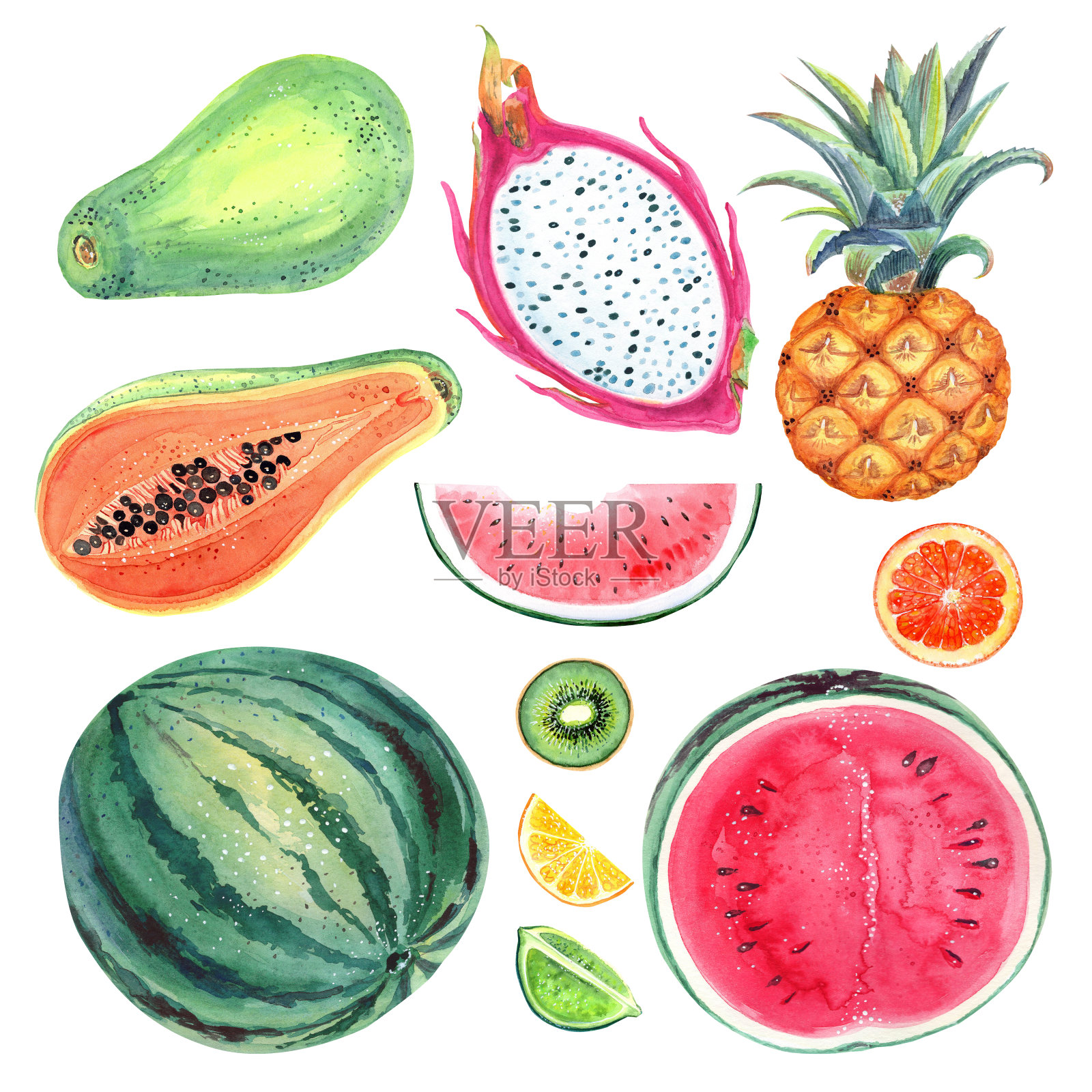 热带水果插画图片素材