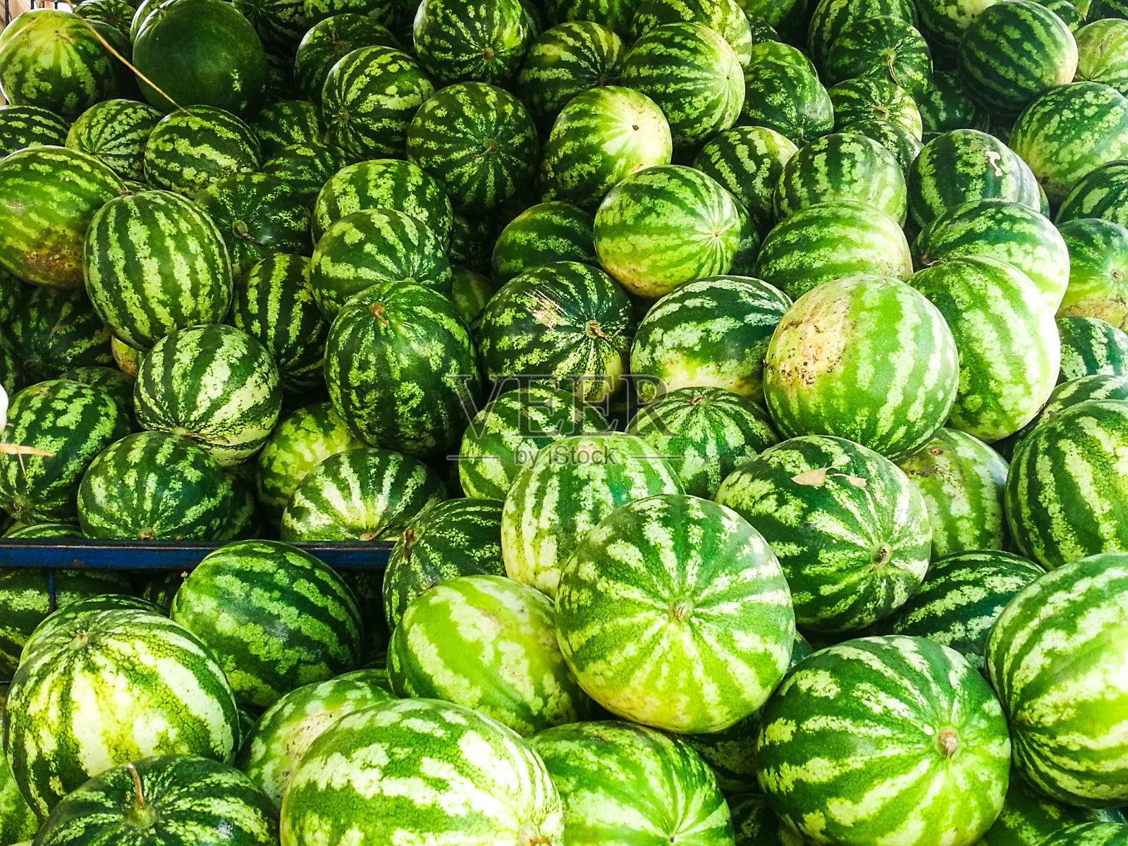 大群新鲜成熟的西瓜在食品市场照片摄影图片