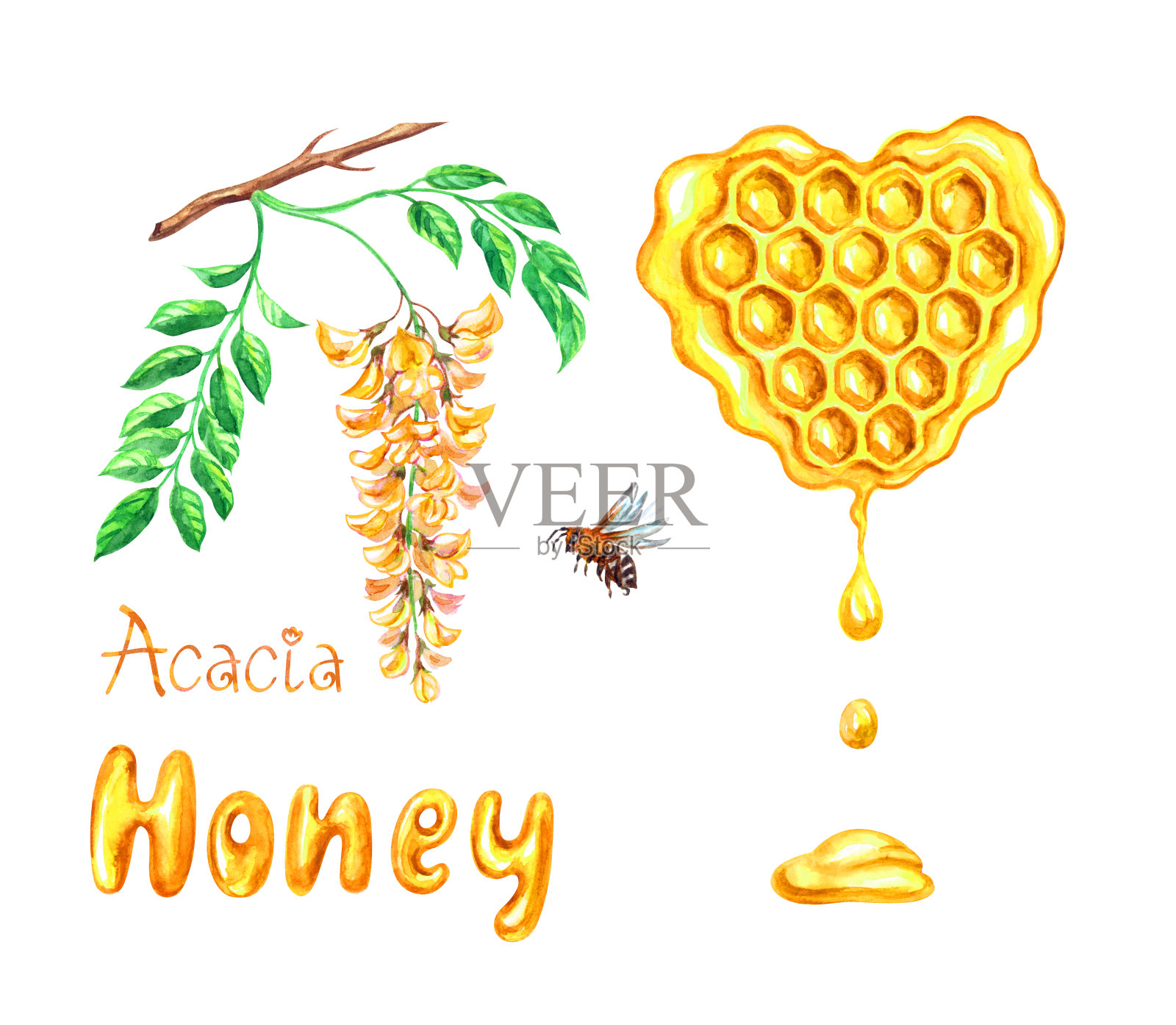 金合欢的蜂蜜在蜂巢里形成一颗心的形状插画图片素材