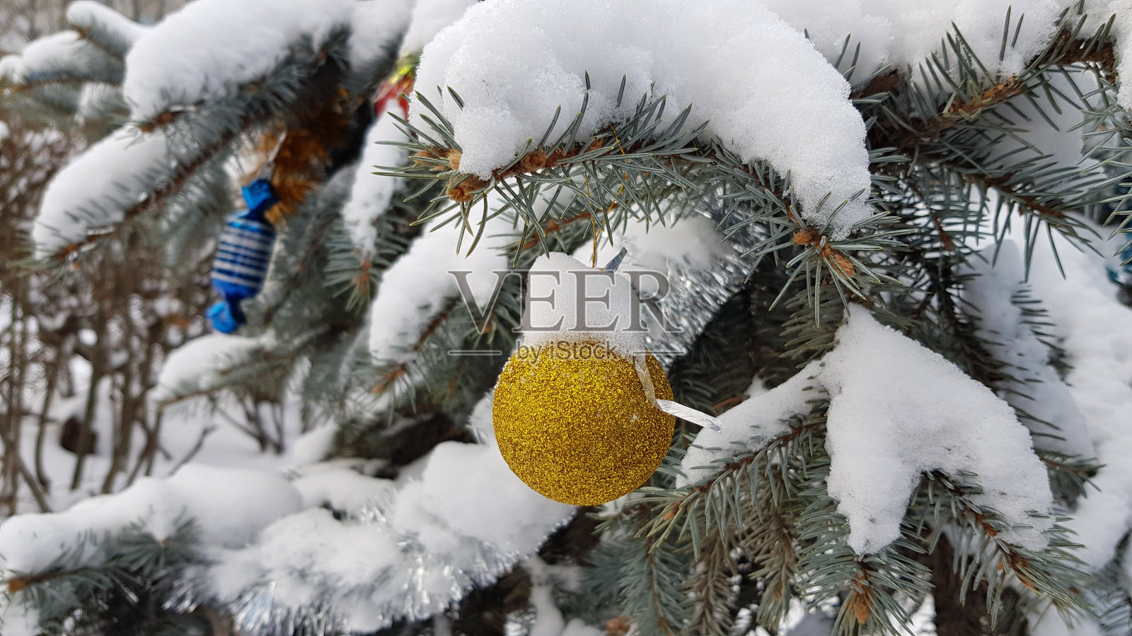 枞树的树枝上挂着茂密的针叶，上面覆盖着毛茸茸的白雪，下面还挂着圣诞装饰品。冬季户外的针叶树纹理。新年庆祝背景。插画图片素材