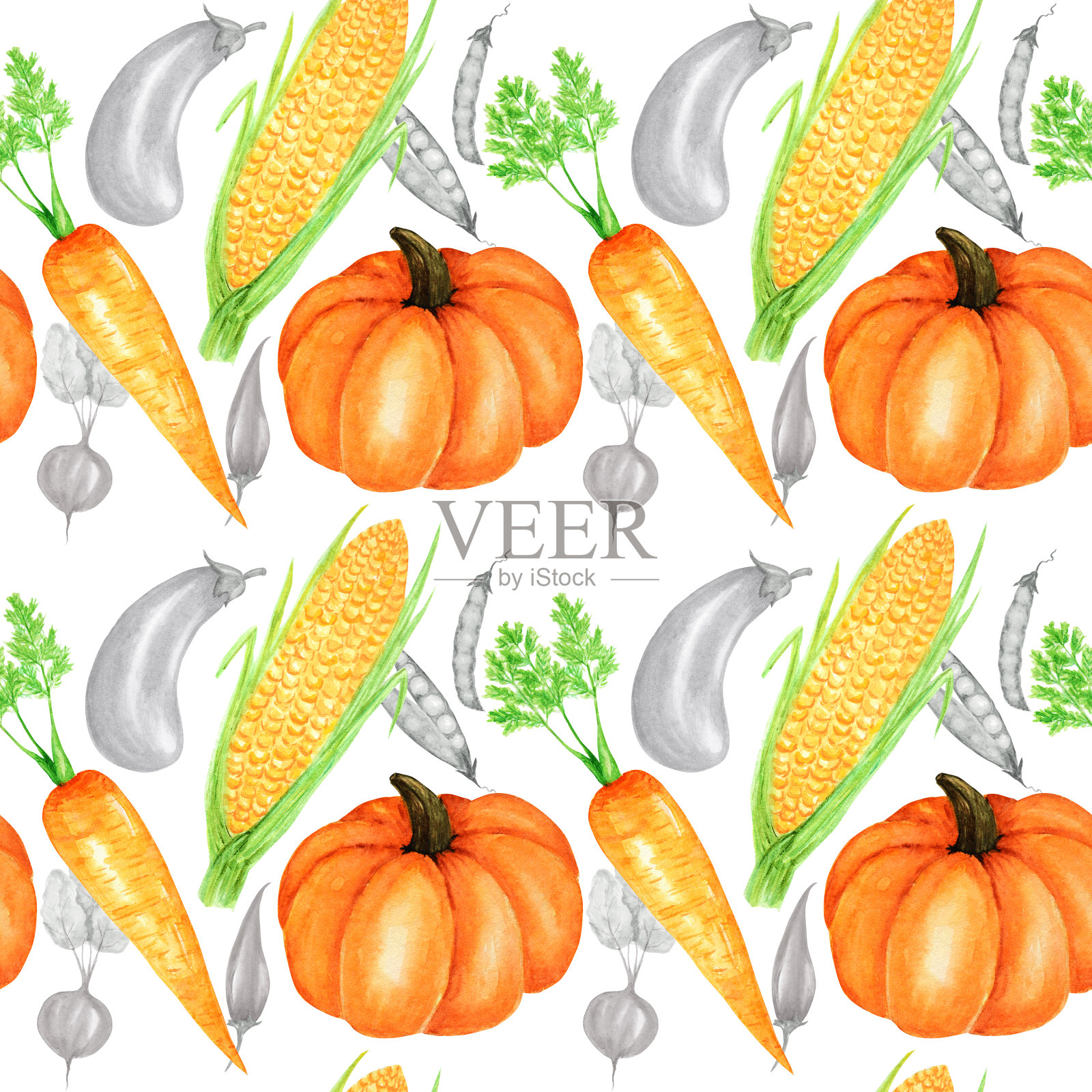 无缝图案水彩画收集橙色蔬菜南瓜，玉米，胡萝卜。手绘新鲜的素食食物在白色的背景。秋天织物纹理插画图片素材