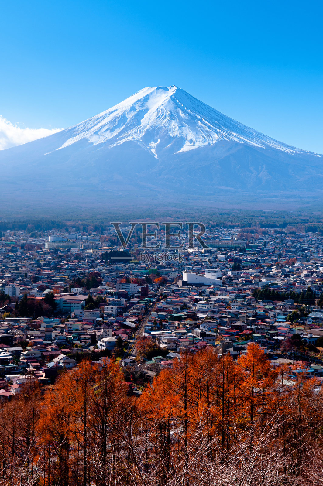 富士山以雪天和蓝天耀斑，秋树以下吉田市照片摄影图片