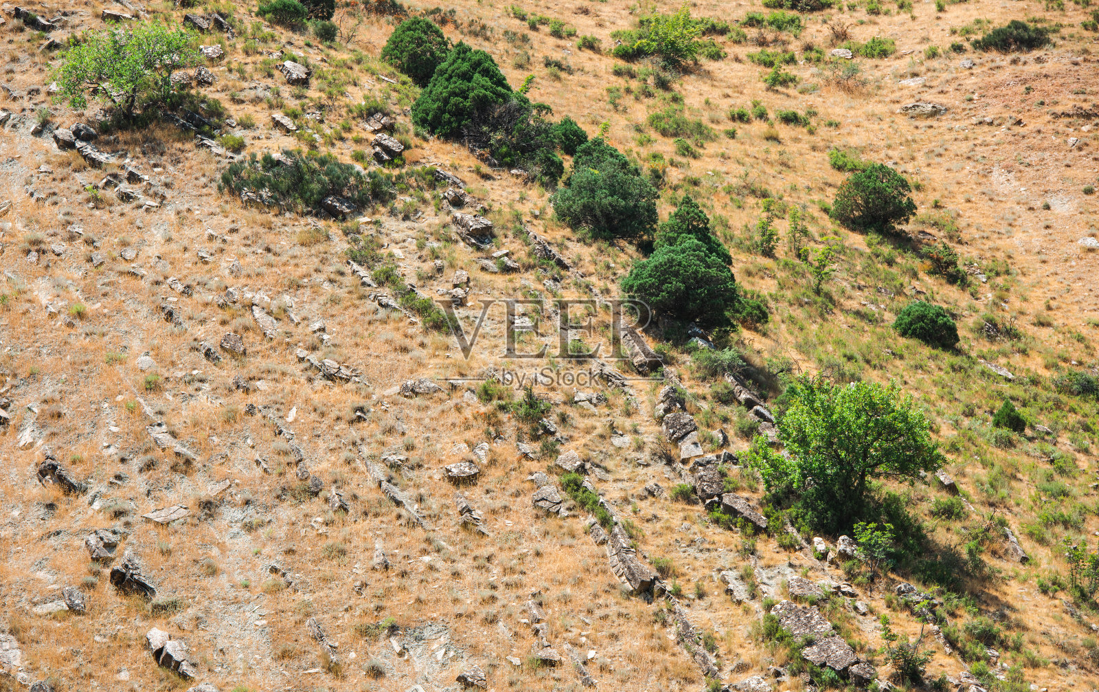 山坡上的树木和岩石照片摄影图片