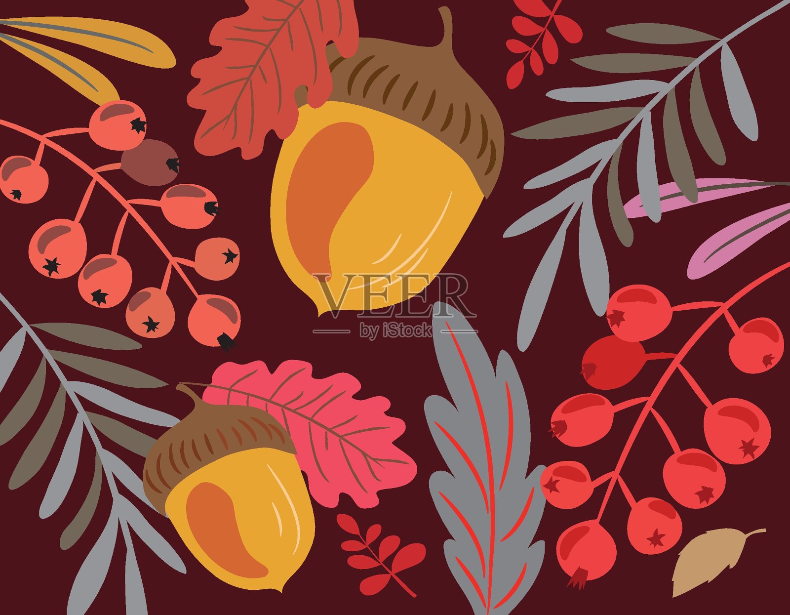 矢量秋天插图与橡树浆果和橡子树叶插画图片素材