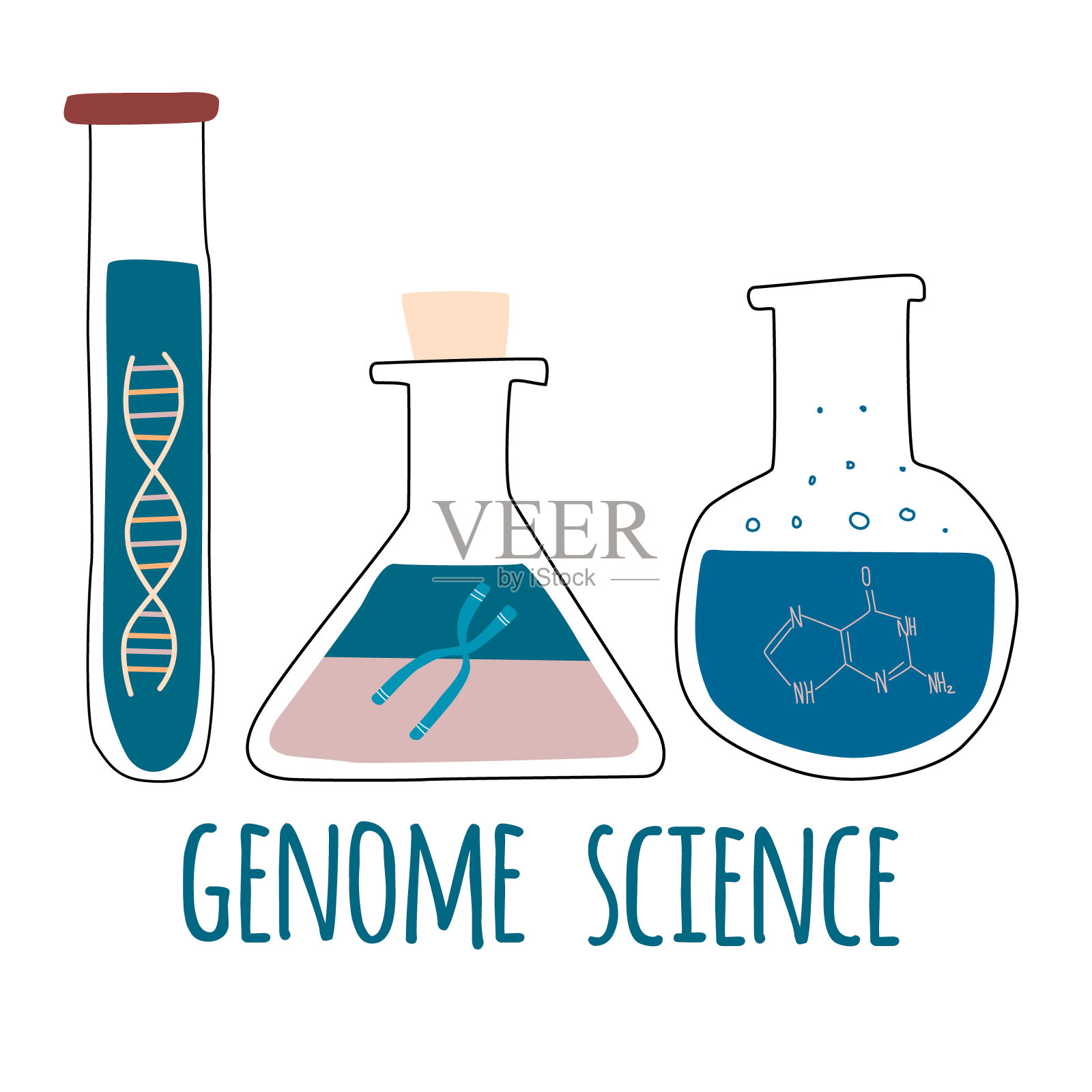 三个试管里有螺旋DNA，染色体，核苷酸。基因组科学文本。基因工程和基因测序概念。彩色涂鸦矢量插图在时尚的卡通风格。插画图片素材