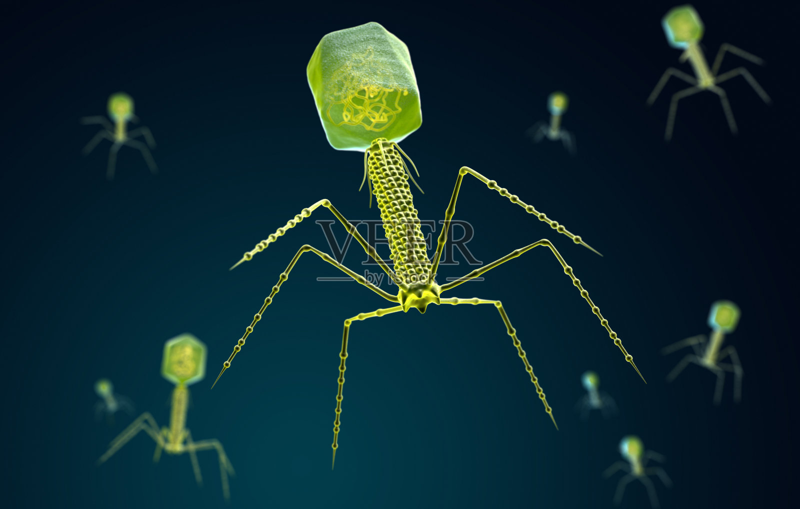噬菌体的程式化可视化照片摄影图片