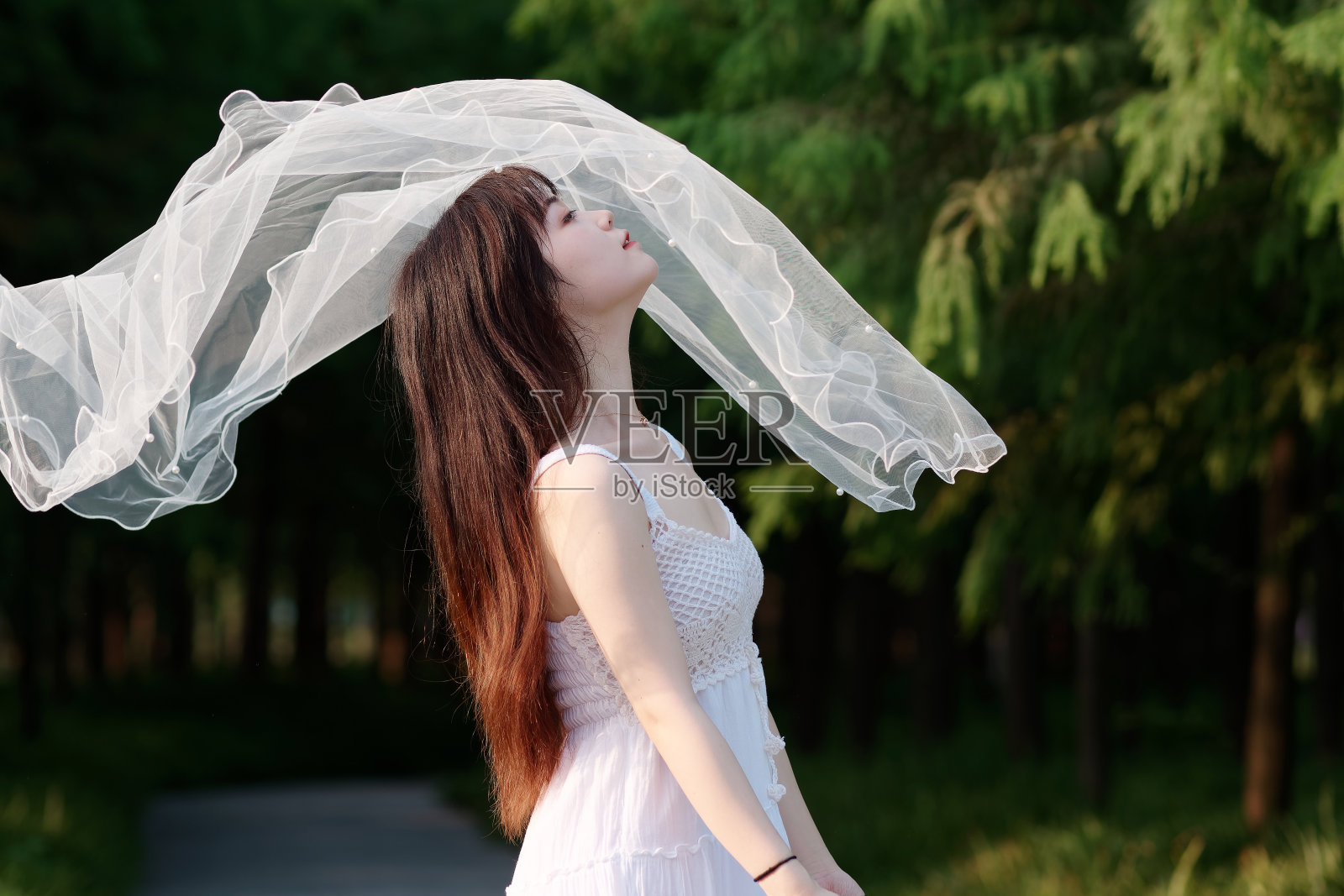 美丽的中国女孩的肖像在白色的婚纱抬起她的头等待飞婚纱盖住她的脸。照片摄影图片