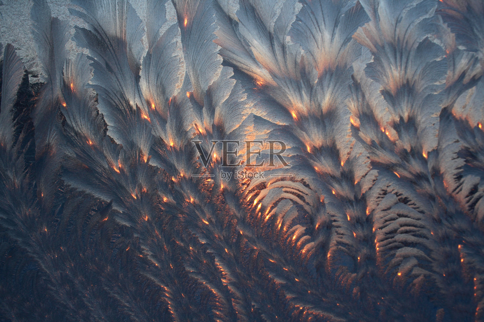 冬天窗户上的冰冻玻璃上的结霜图案照片摄影图片