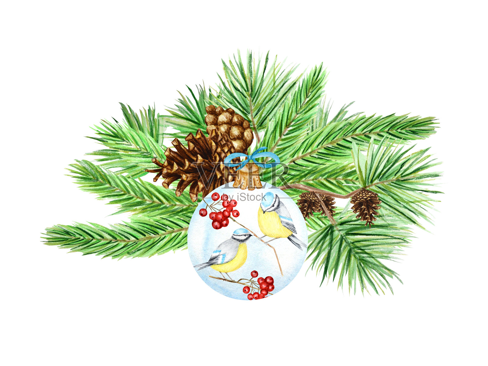 贺卡，海报概念松枝和球果，圣诞玻璃球与红色的花，冬天的鸟蓝色的山雀花束组成在白色的背景，水彩手绘插图与文本复制空间插画图片素材