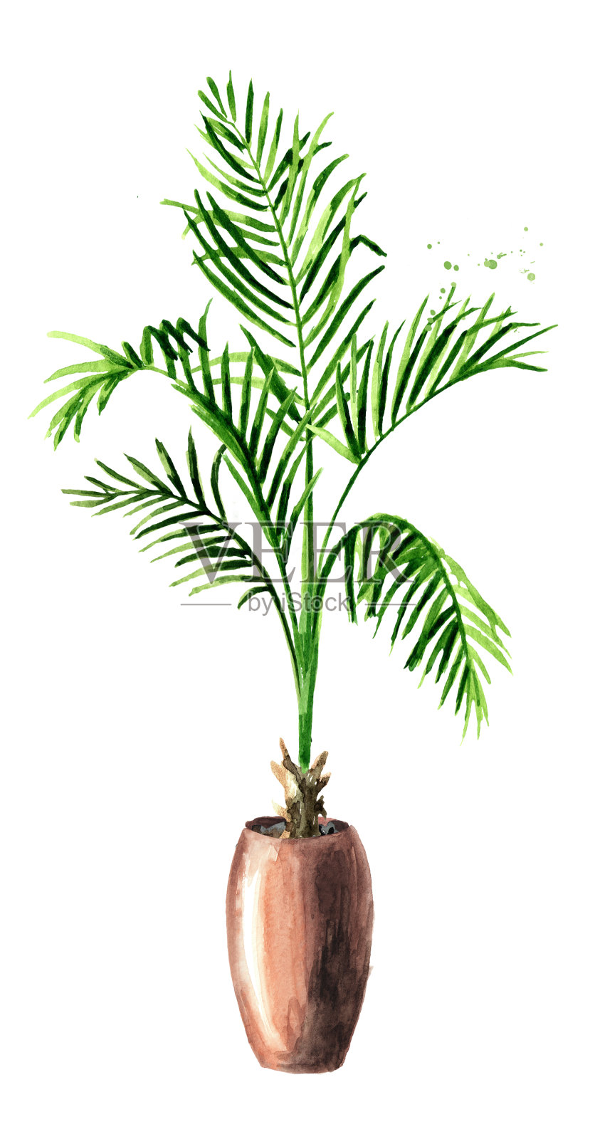 热带植物树在花盆，室内，房子，家植物，水彩手绘插图孤立在白色背景设计元素图片