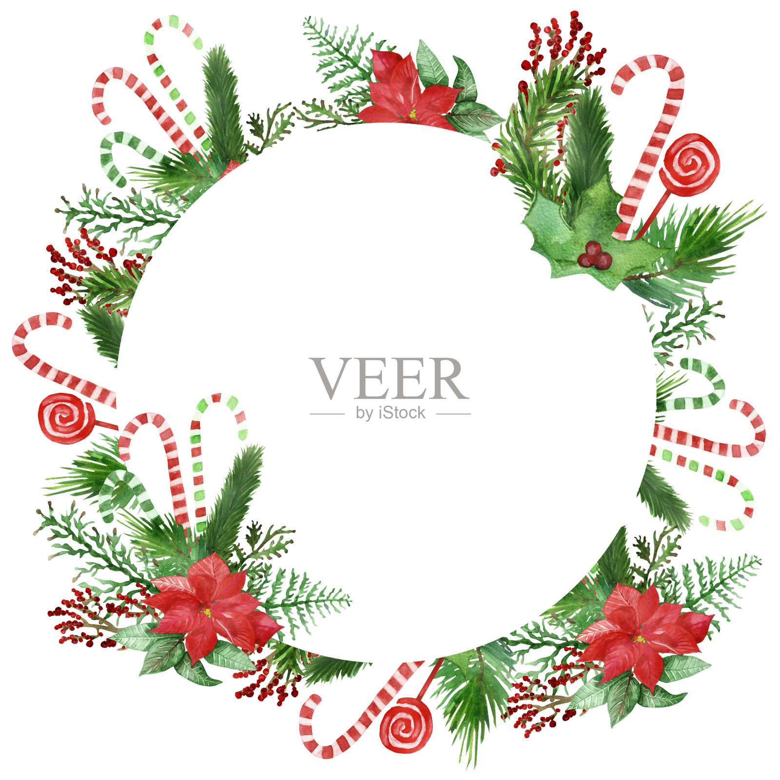 水彩手画的冬季庆祝圈框架与绿色的圣诞树冷杉枝，红色的一品红，棒棒糖在白色的背景为新年邀请和卡片插画图片素材