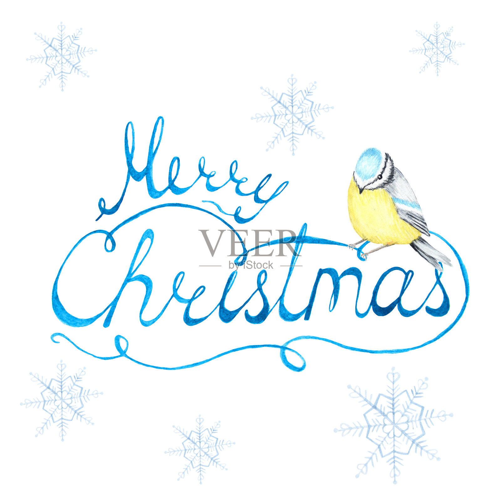 水彩圣诞快乐的题词，手写的信与冬天的鸟蓝色山雀，书法纹理，横幅，标签，明信片，海报，网络和印刷品。圣诞节的徽章插画图片素材