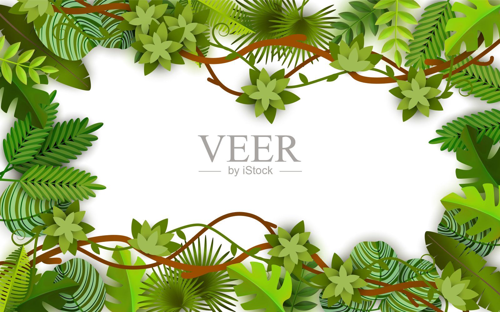 框架和背景的绿色藤蔓，树叶和丛林植物，空白和空白的空间。插画图片素材