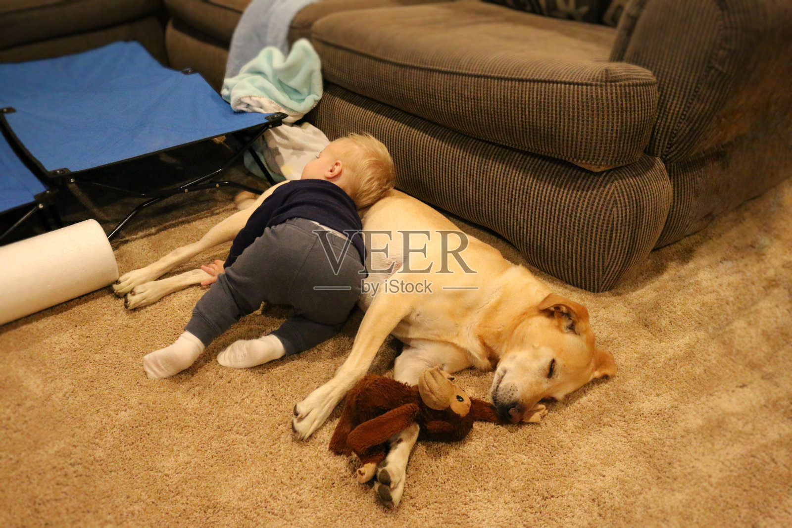孩子和狗一起睡觉照片摄影图片