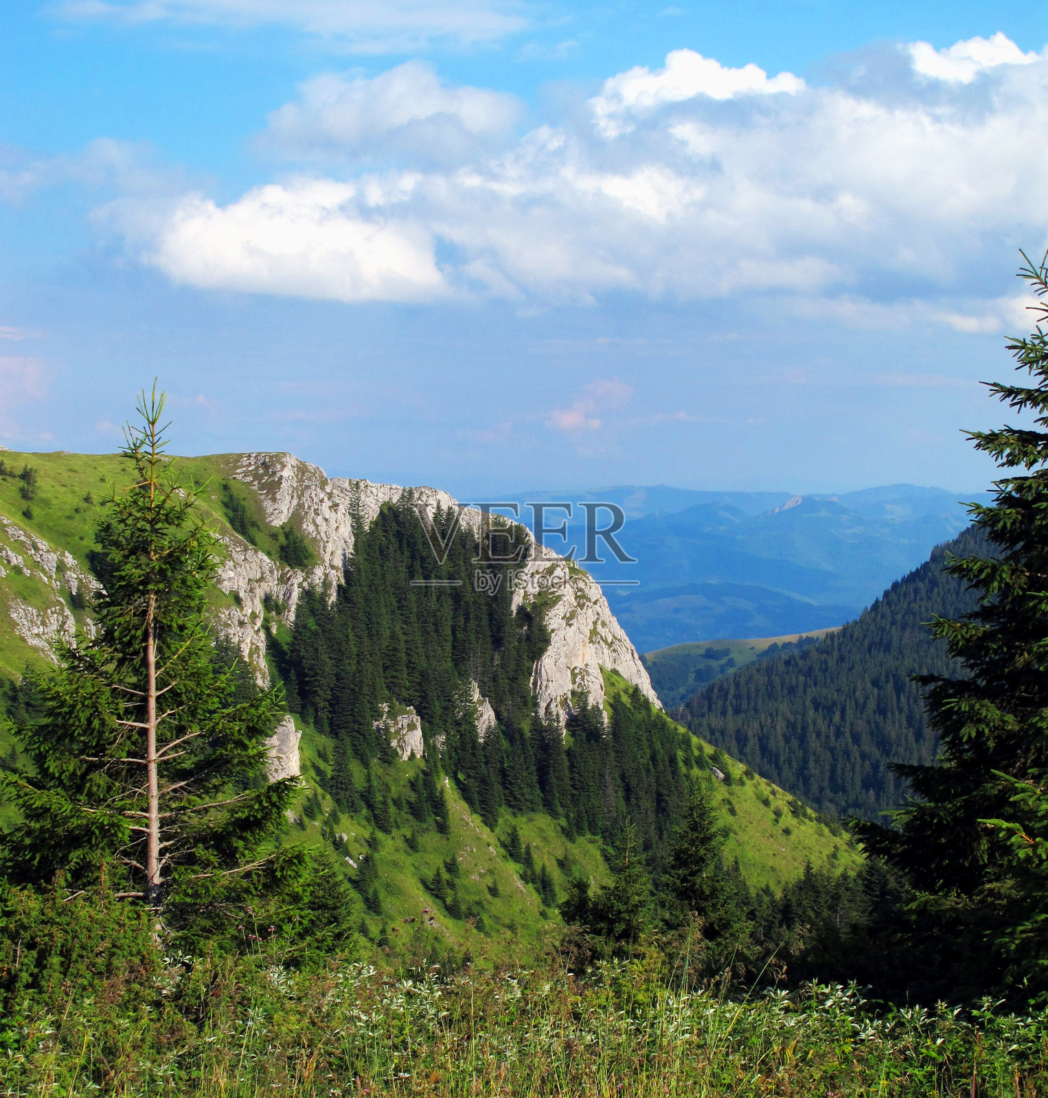 塞尔维亚的科帕尼克山没有雪照片摄影图片