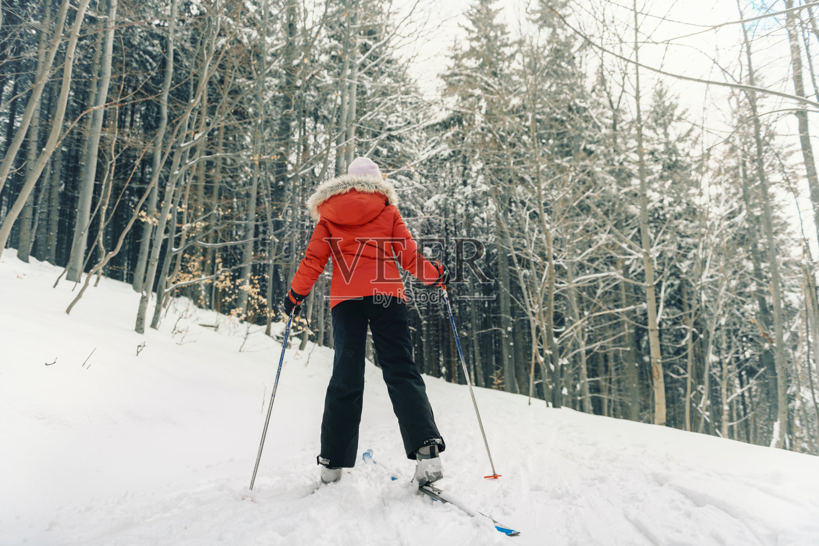 穿着红色外套的少女正在越野滑雪照片摄影图片