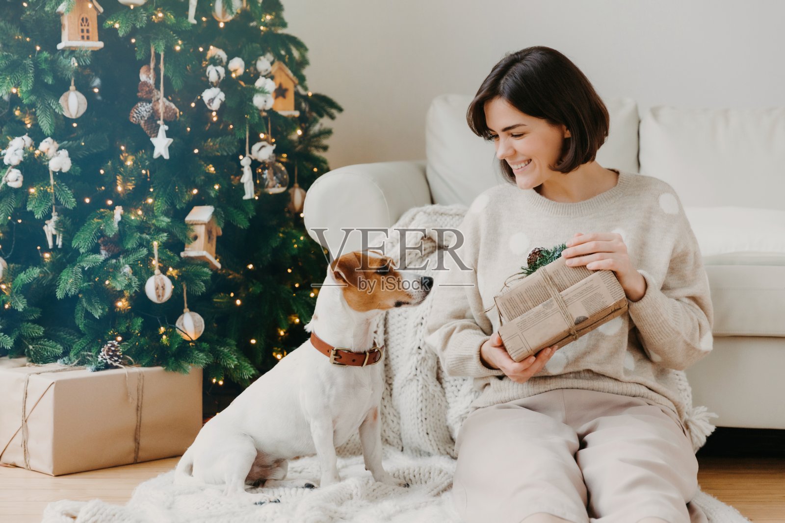 快乐的黑发女子展示收到的礼物给心爱的狗，在舒适的房间地板上一起摆姿势，有节日的心情，准备圣诞节或新年，享受冬天的时间。Hoilday概念照片摄影图片