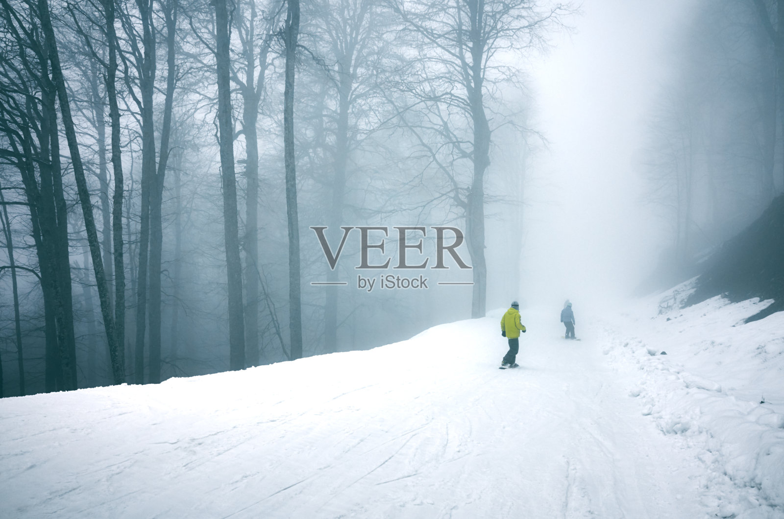 在一个雾蒙蒙的冬季森林里的滑雪坡上，滑雪者骑着认不出来的滑雪板照片摄影图片