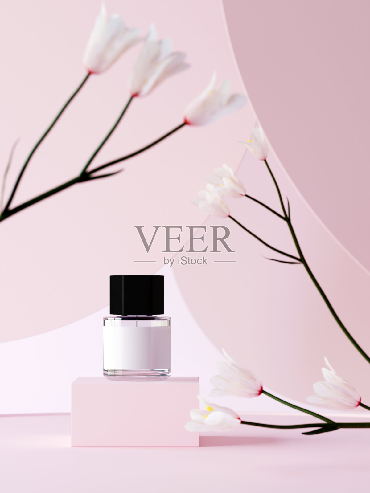 化妆品介绍背景。白色植物和浅粉色圆形几何背景的香水裙房。3 d渲染。照片摄影图片