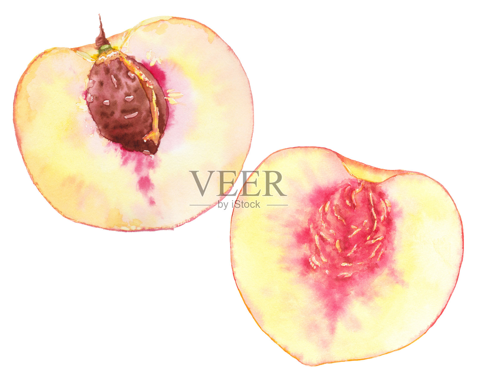 水彩设置与切桃子水果在白色插画图片素材