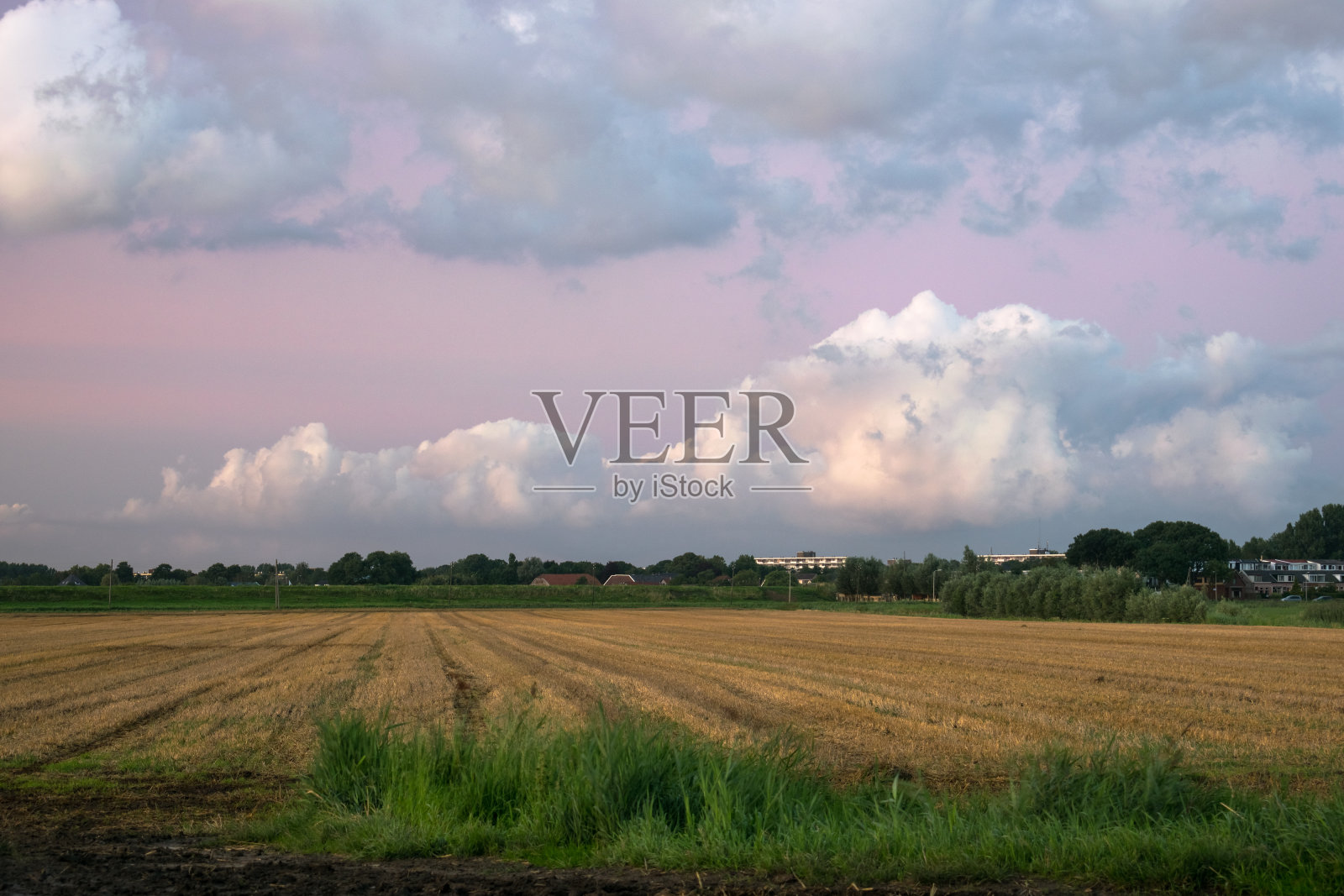 农田美丽的积云映衬着粉红色的天空照片摄影图片