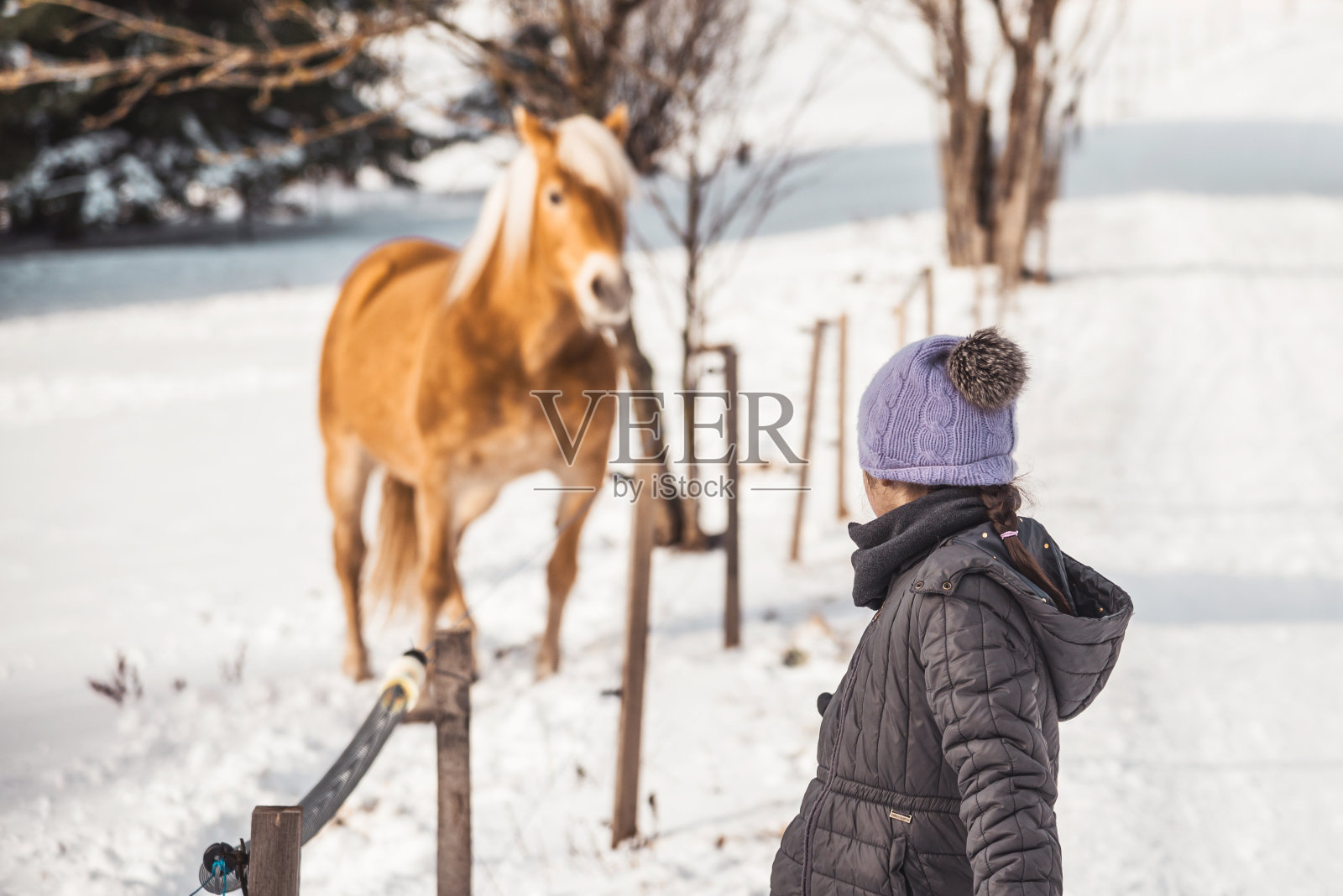 小女孩滑雪在雪景冬天看马照片摄影图片