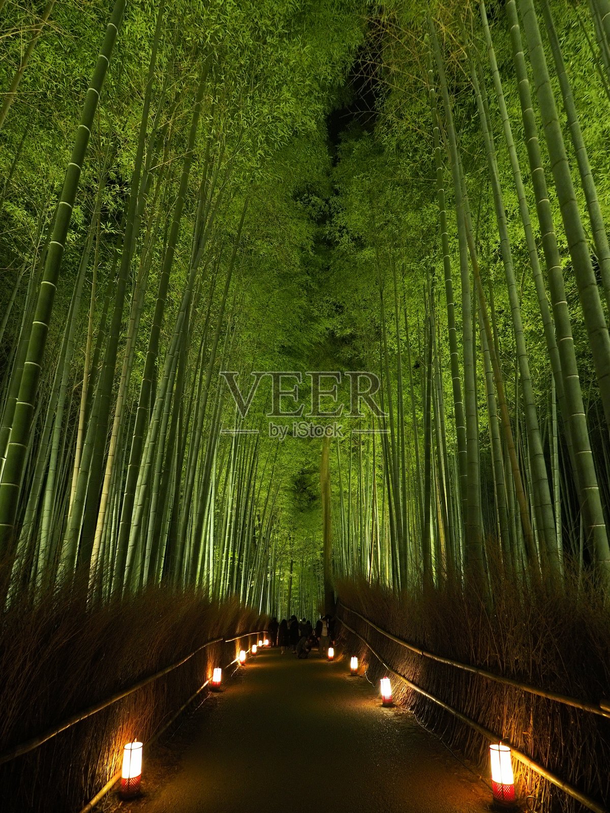 竹林夜景(京都岚山)照片摄影图片