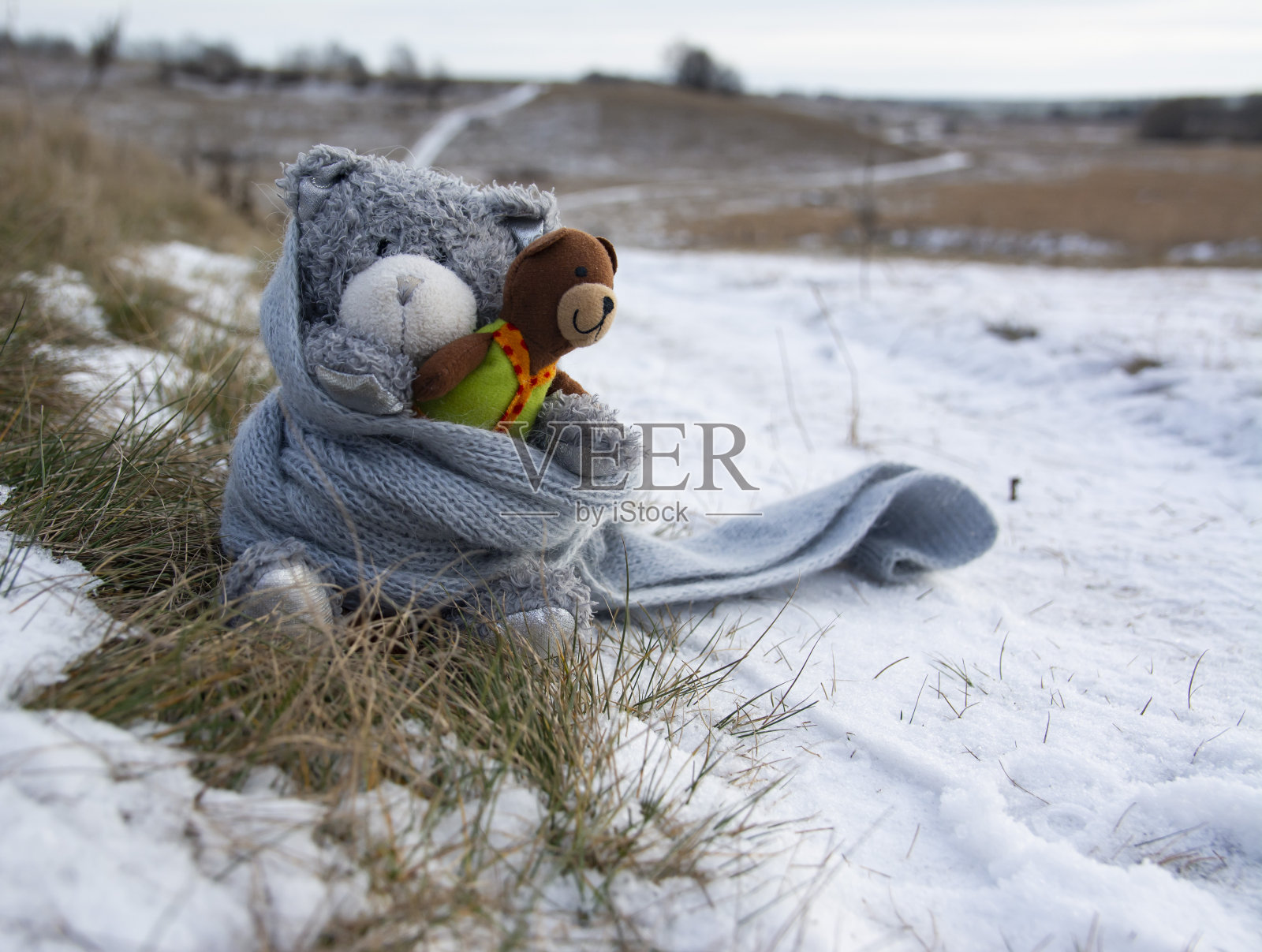 冬天，泰迪熊裹着围巾一起坐在雪地里。友谊示范。照片摄影图片